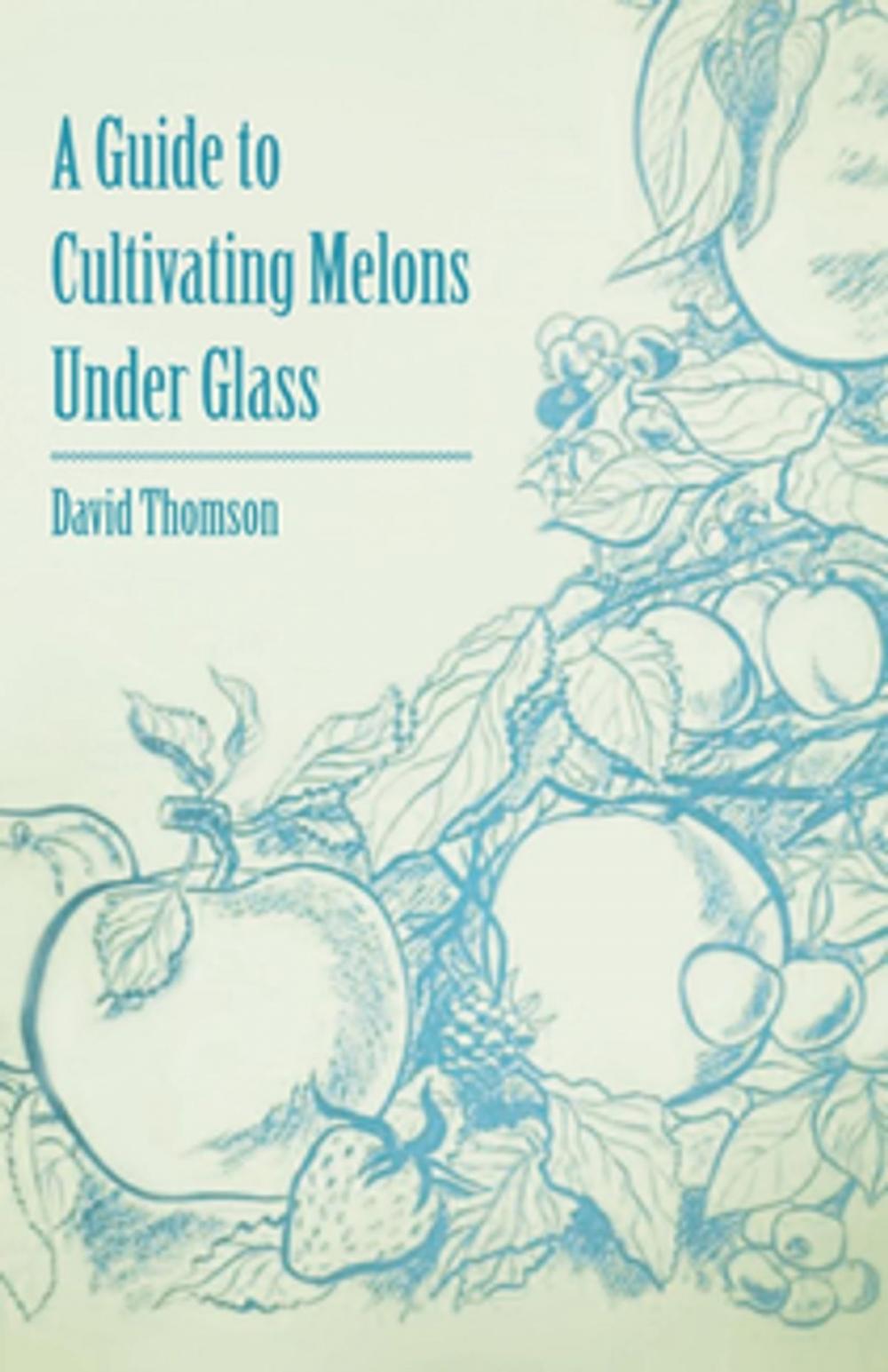 Big bigCover of A Guide to Cultivating Melons Under Glass