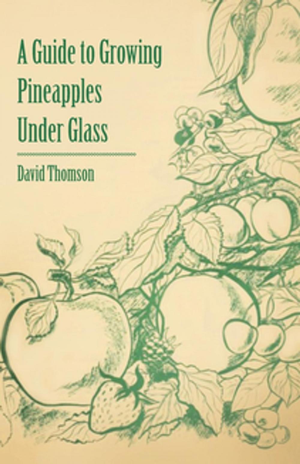 Big bigCover of A Guide to Growing Pineapples under Glass