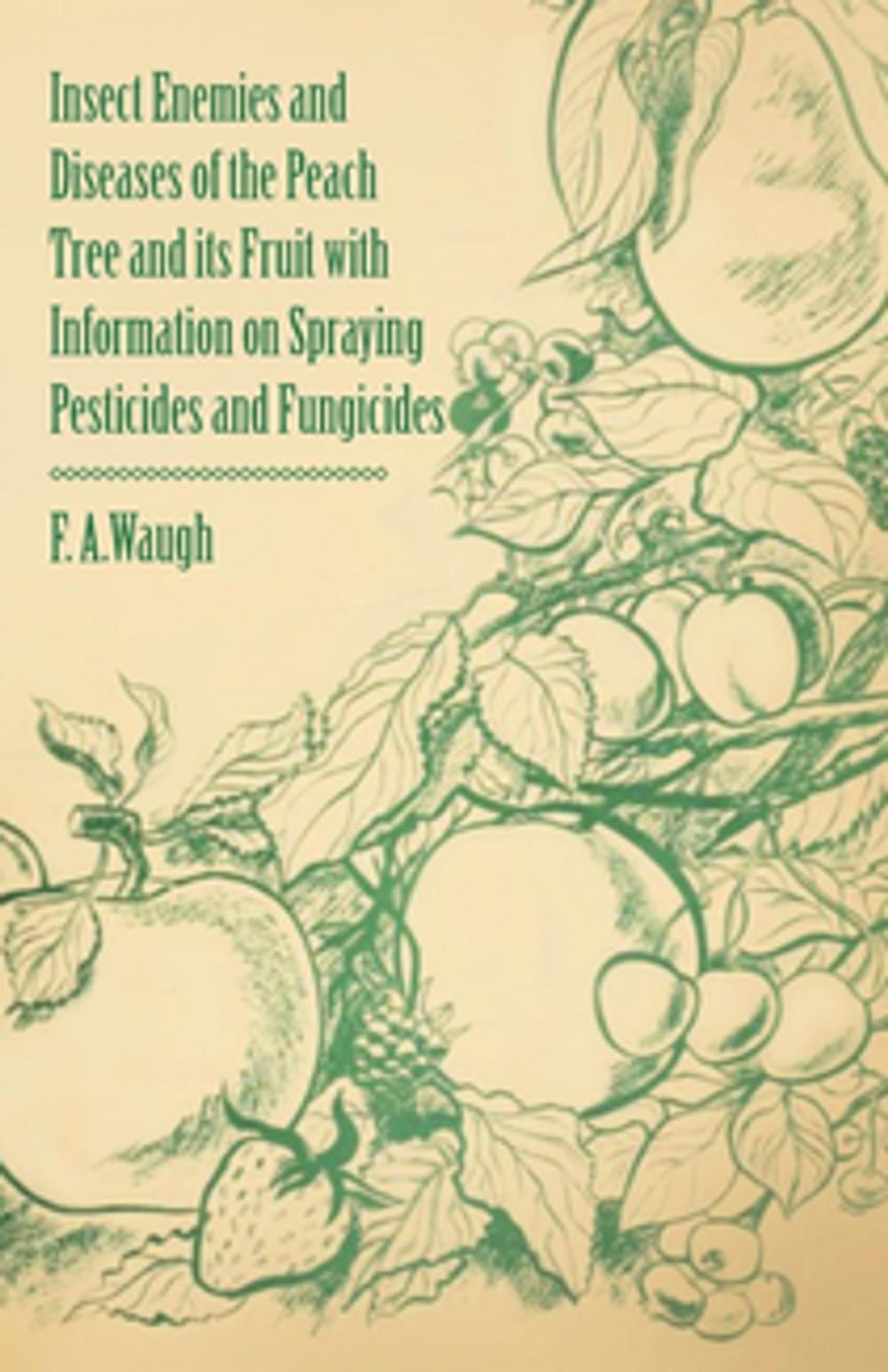 Big bigCover of Insect Enemies and Diseases of the Peach Tree and its Fruit with Information on Spraying Pesticides and Fungicides