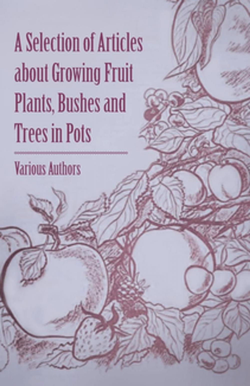 Big bigCover of A Selection of Articles about Growing Fruit Plants, Bushes and Trees in Pots