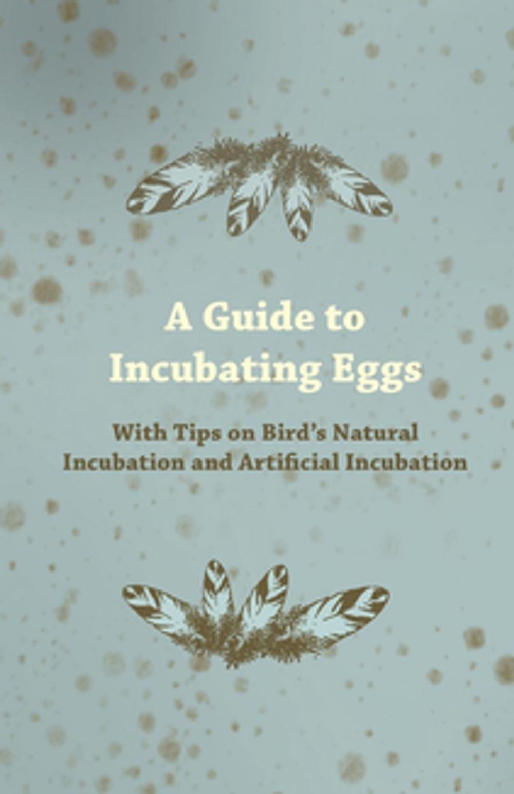 Big bigCover of A Guide to Incubating Eggs - With Tips on Bird's Natural Incubation and Artificial Incubation