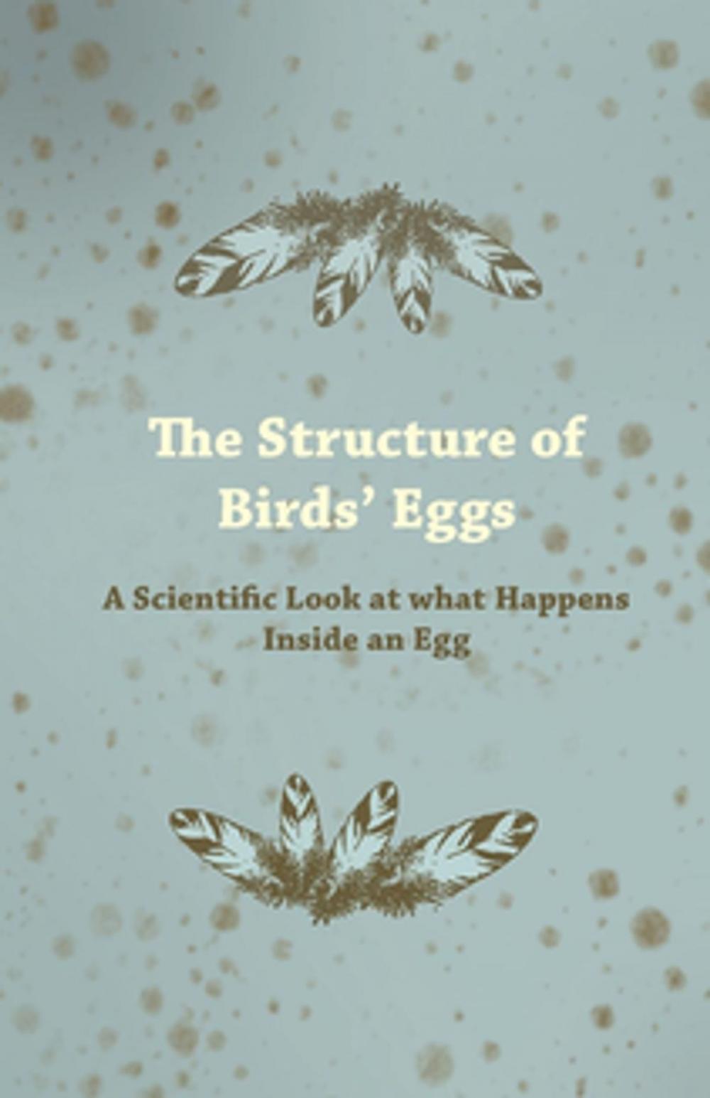 Big bigCover of The Structure of Birds' Eggs - A Scientific Look at what Happens Inside an Egg