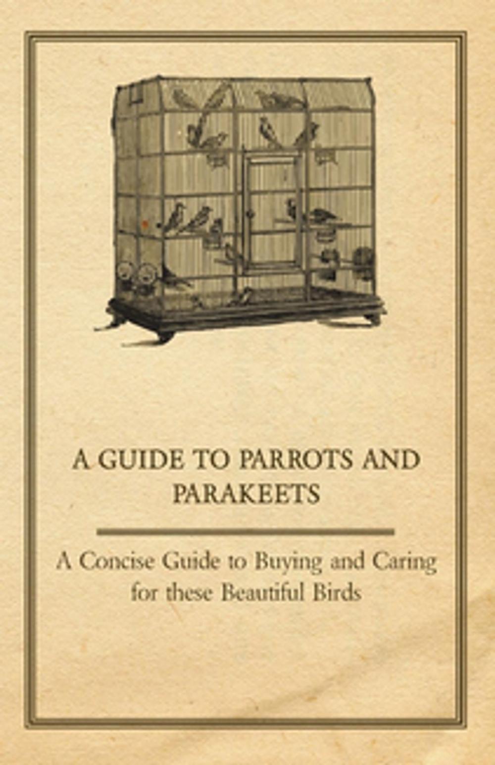 Big bigCover of A Guide to Parrots and Parakeets - A Concise Guide to Buying and Caring for These Beautiful Birds