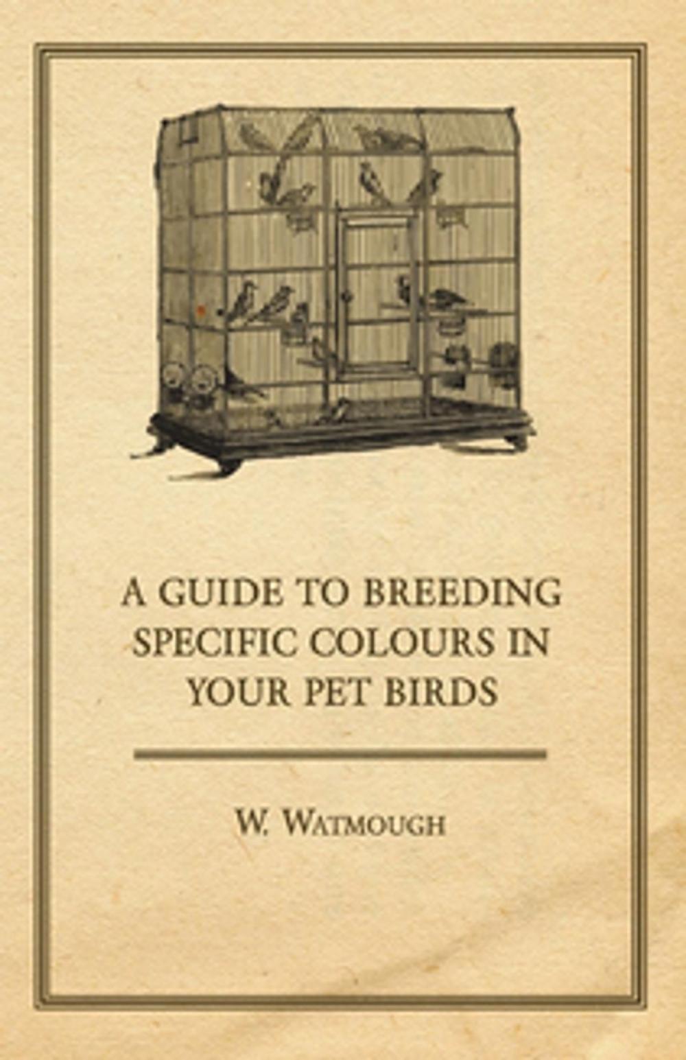 Big bigCover of A Guide to Breeding Specific Colours in Your Pet Birds