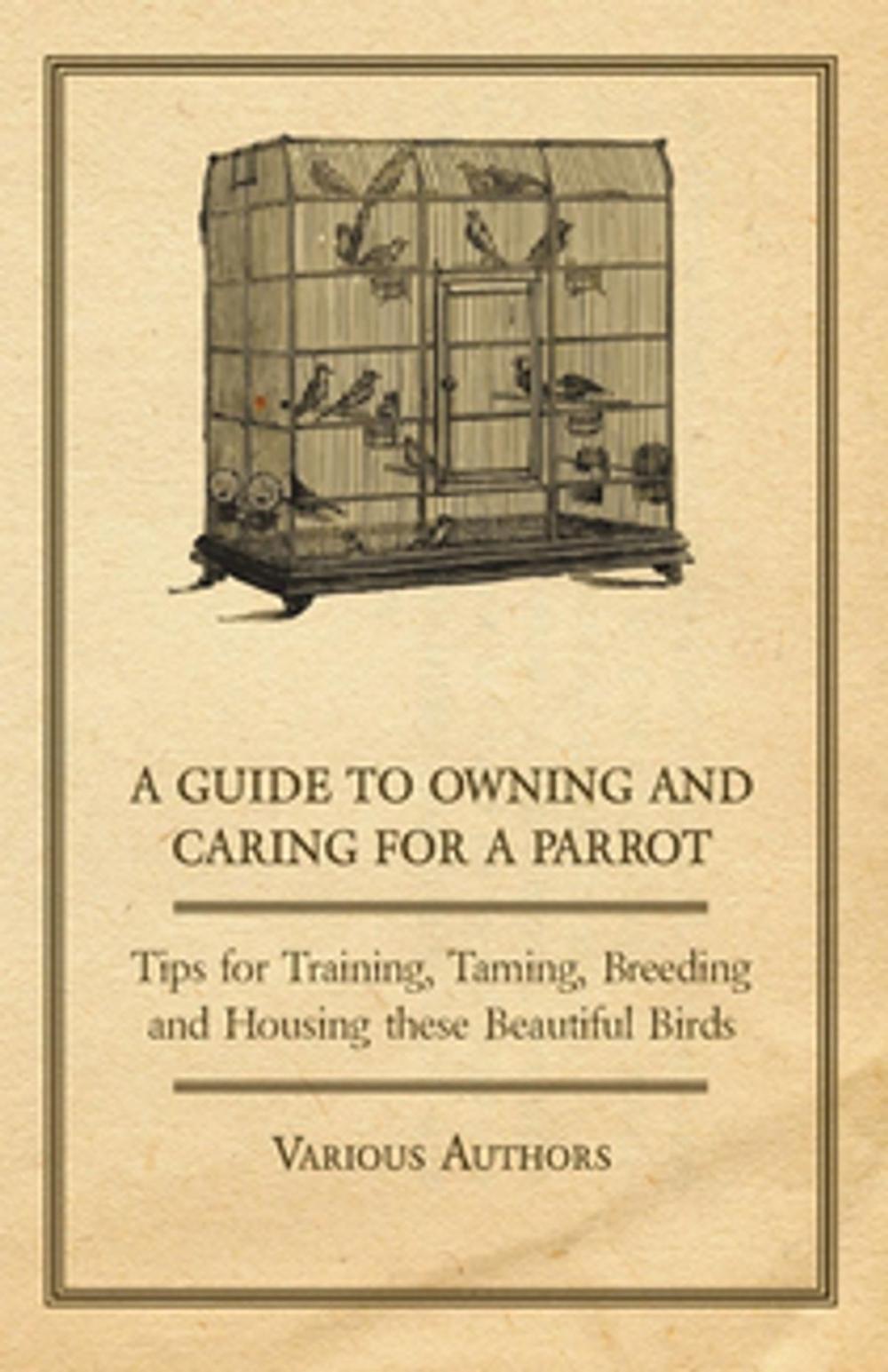 Big bigCover of A Guide to Owning and Caring for a Parrot - Tips for Training, Taming, Breeding and Housing these Beautiful Birds