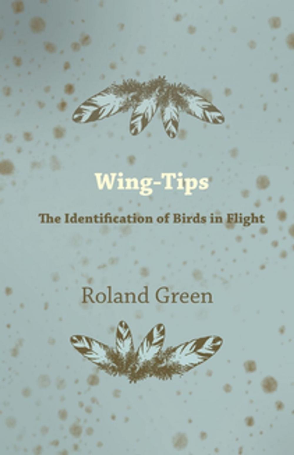 Big bigCover of Wing-Tips - The Identification of Birds in Flight