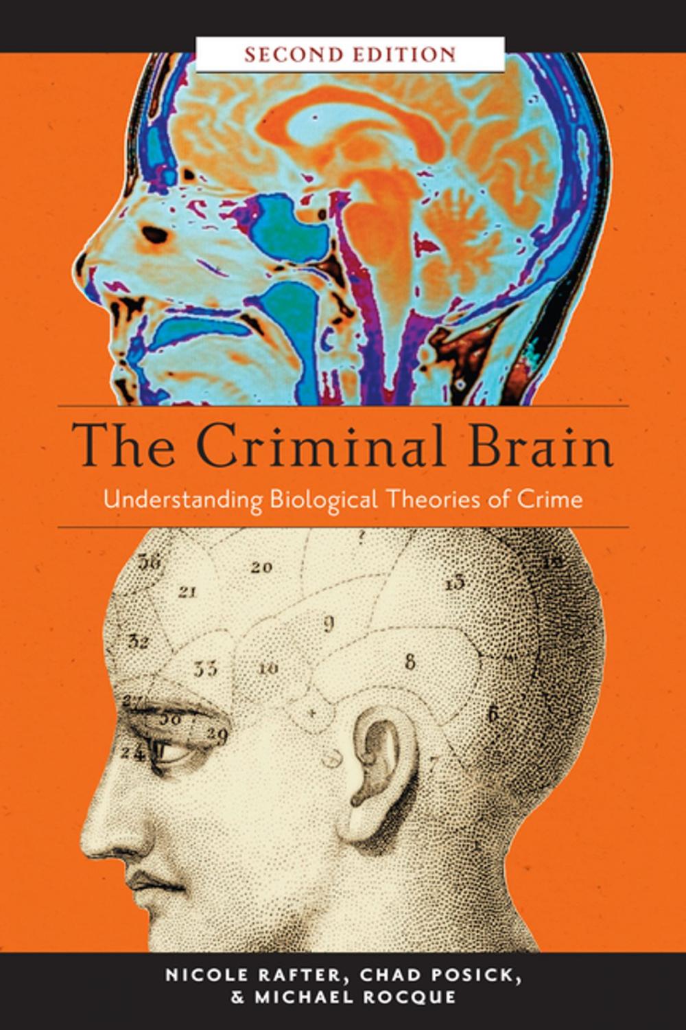 Big bigCover of The Criminal Brain, Second Edition