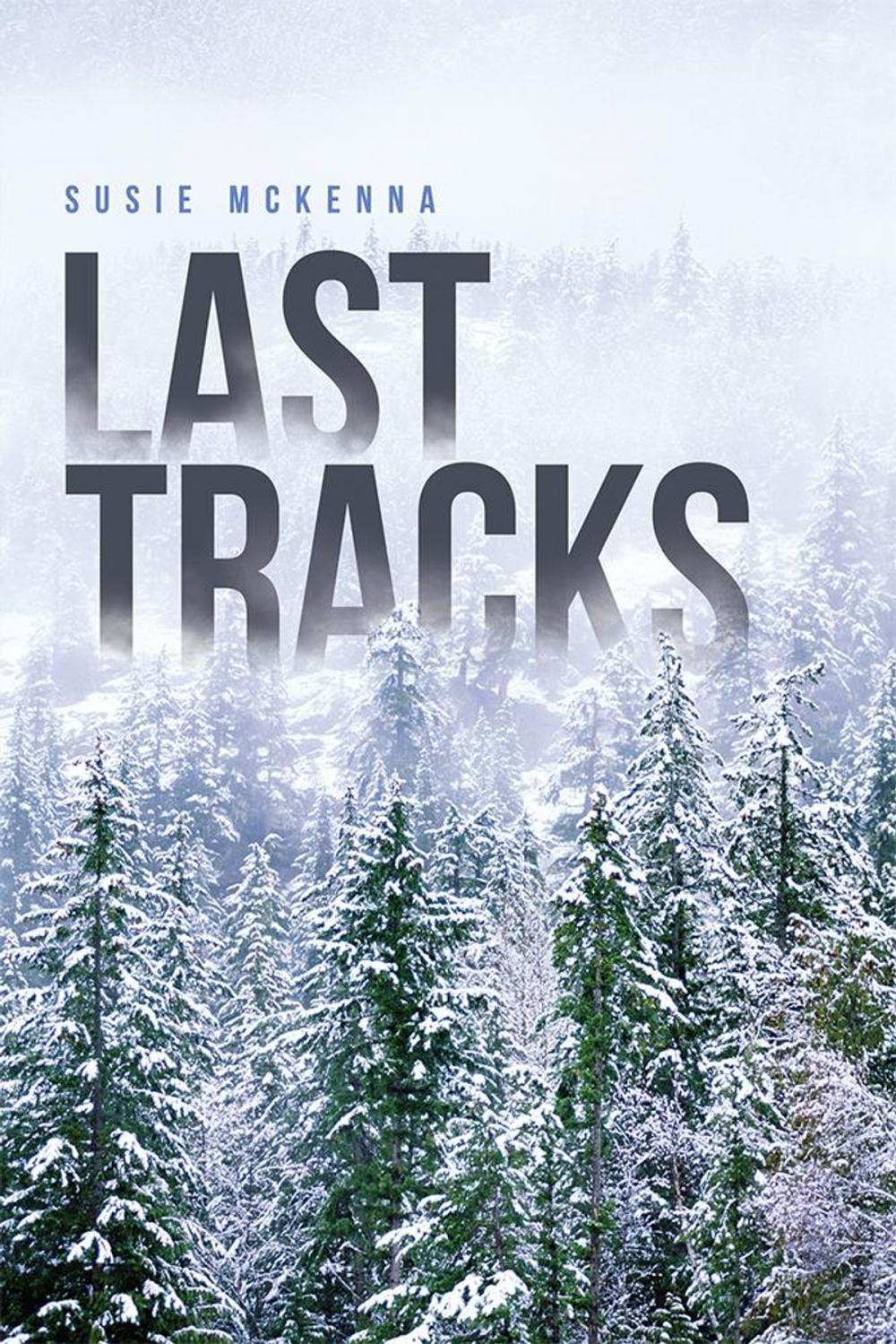 Big bigCover of Last Tracks