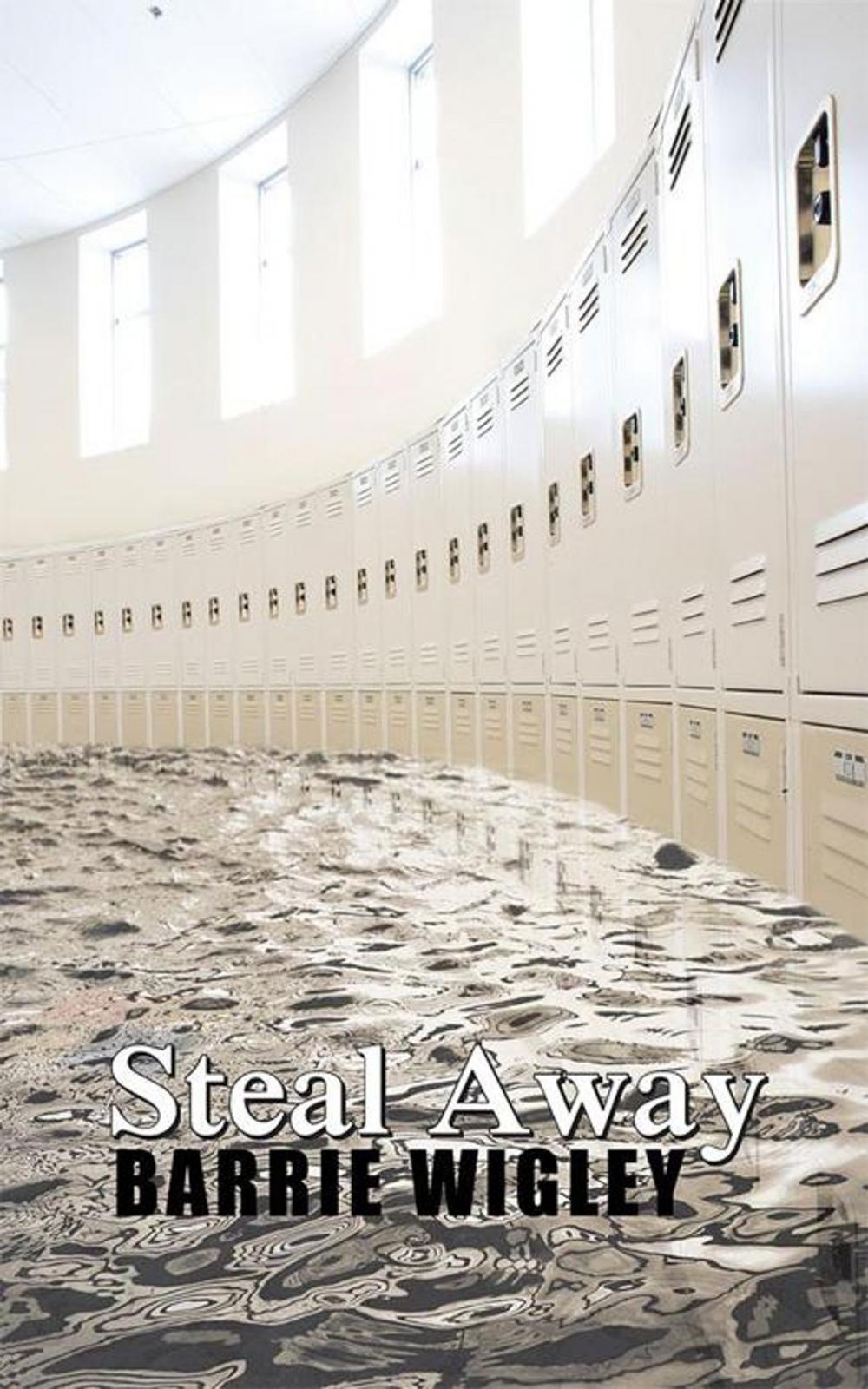 Big bigCover of Steal Away