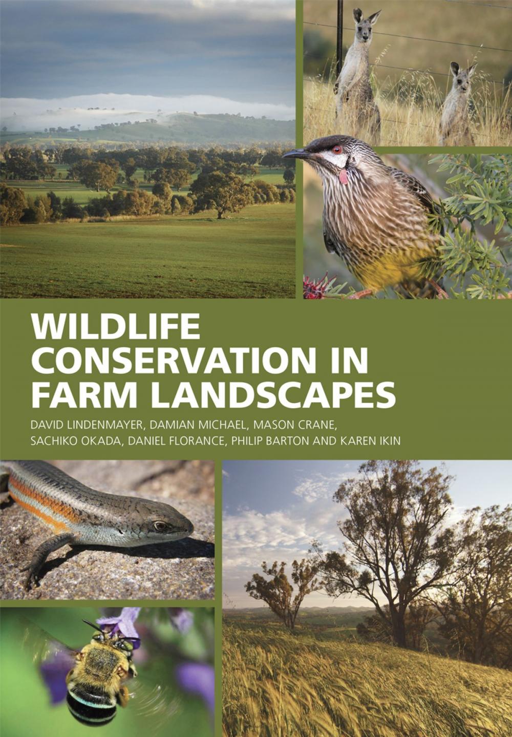 Big bigCover of Wildlife Conservation in Farm Landscapes