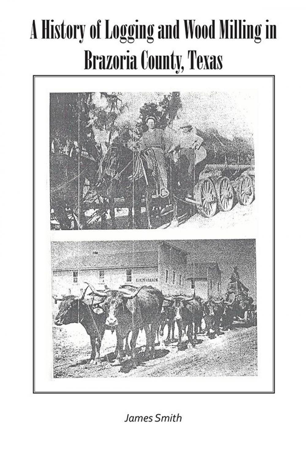 Big bigCover of A History of Logging and Wood Milling in Brazoria County, Texas