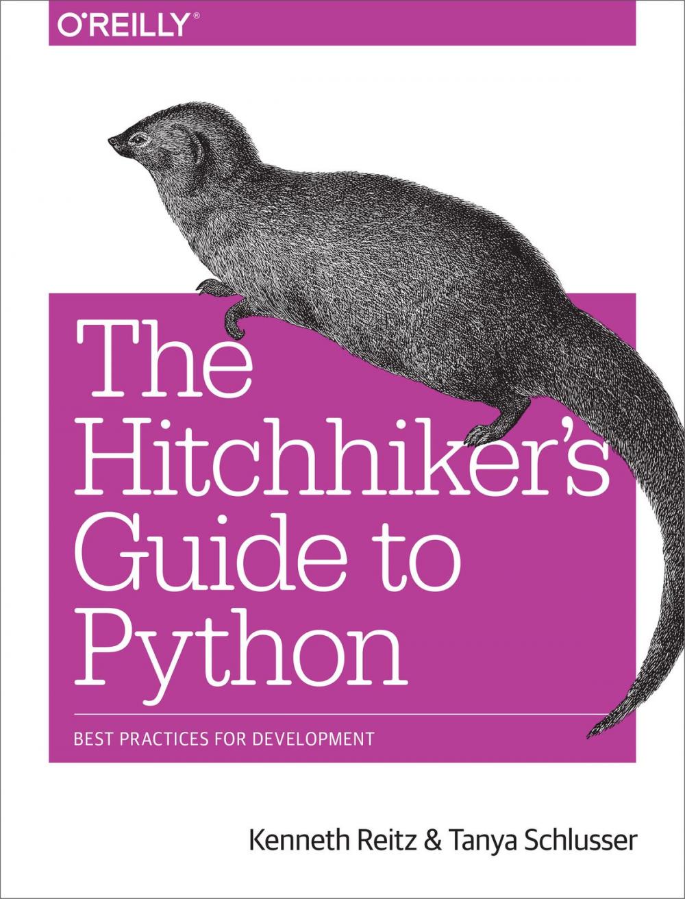 Big bigCover of The Hitchhiker's Guide to Python