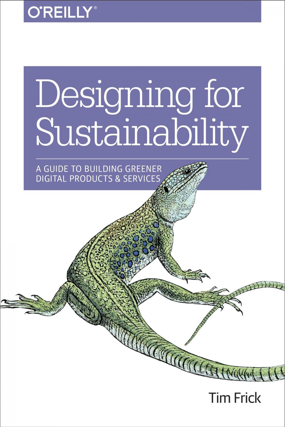 Big bigCover of Designing for Sustainability