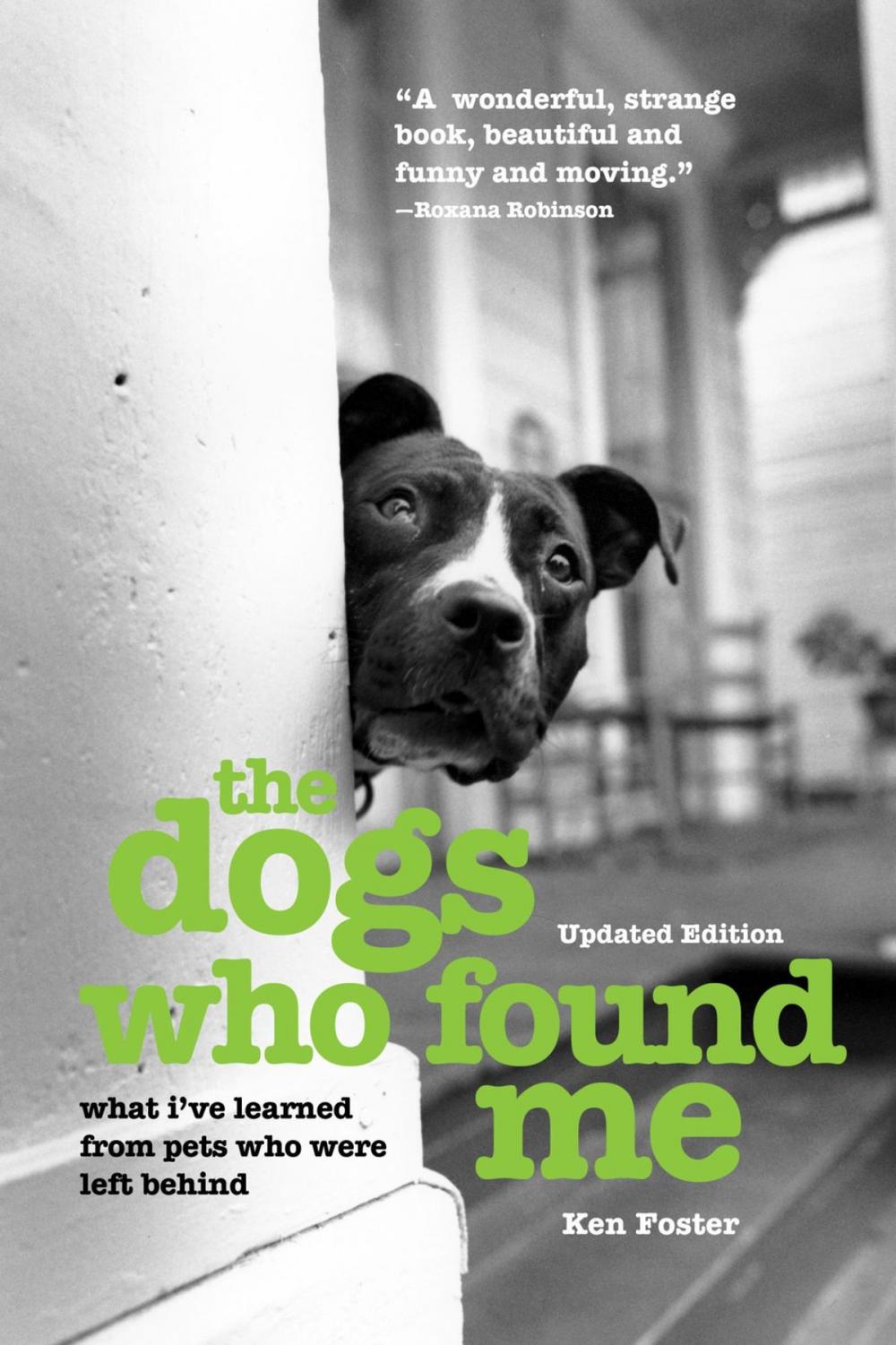 Big bigCover of The Dogs Who Found Me