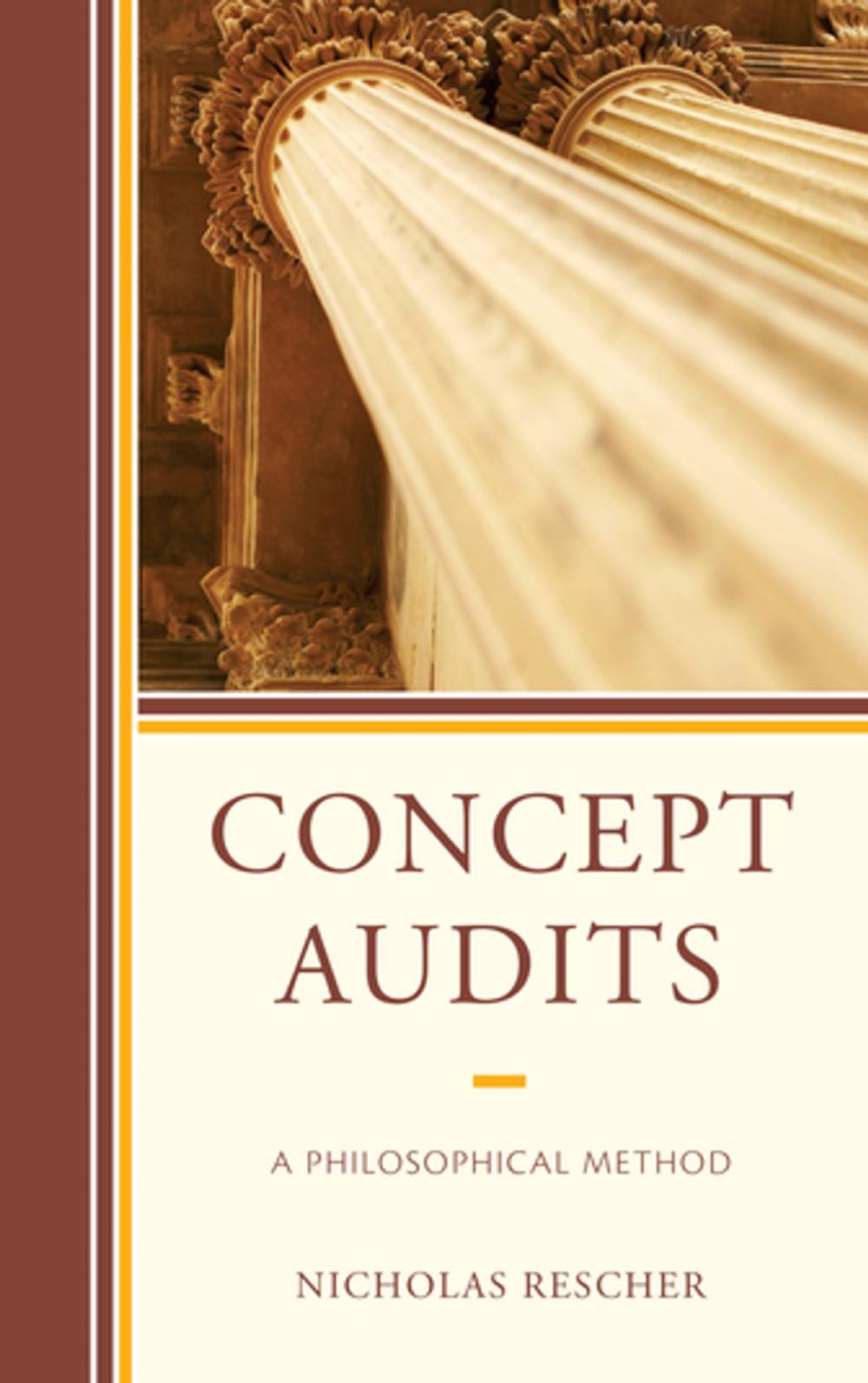 Big bigCover of Concept Audits