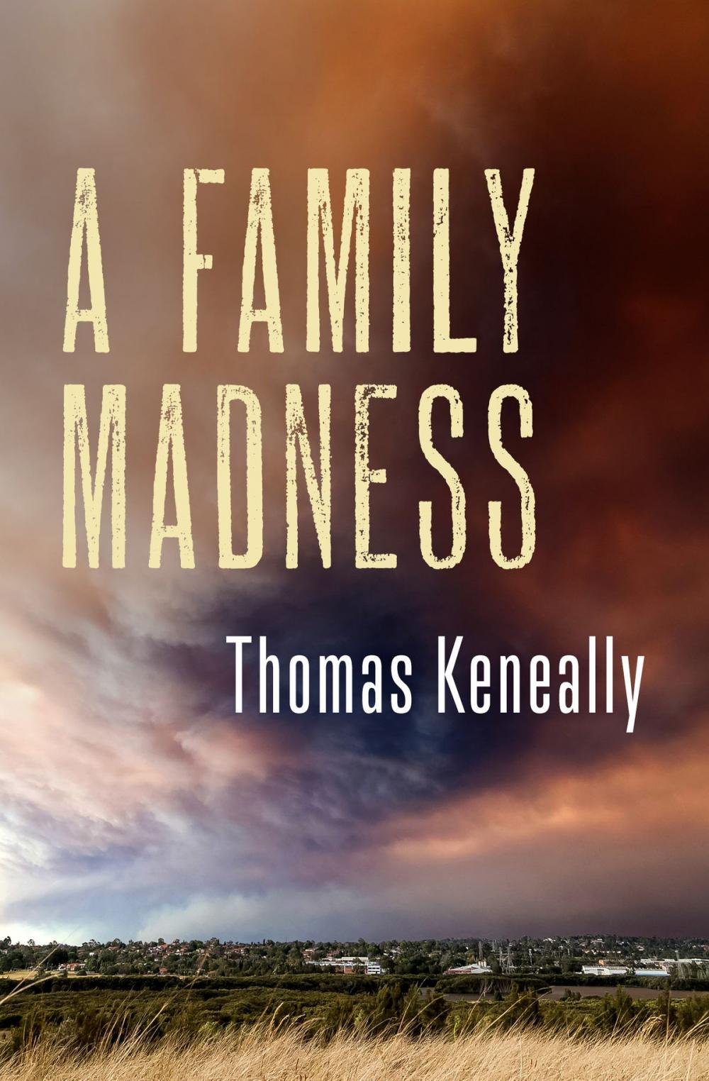 Big bigCover of A Family Madness