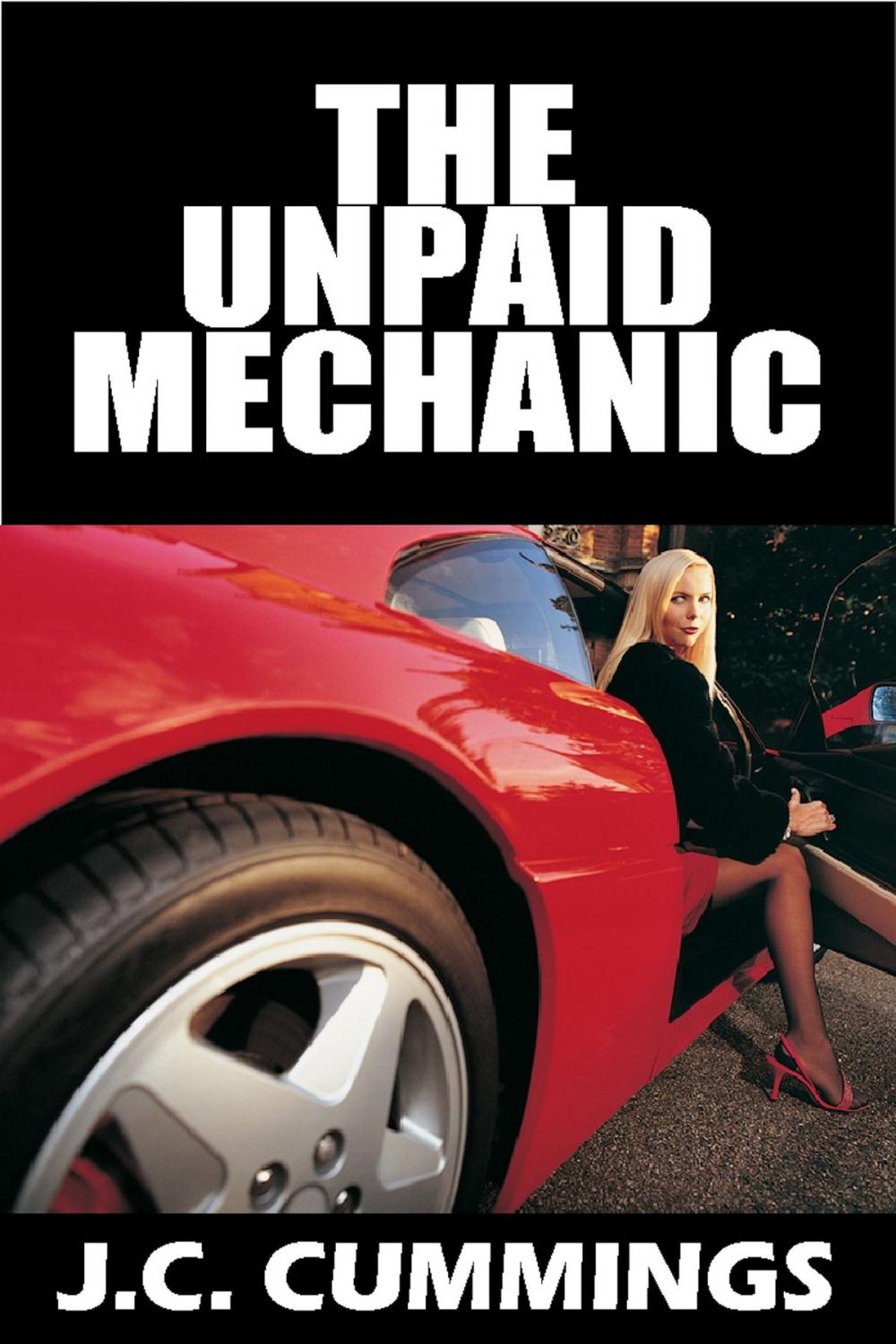 Big bigCover of The Unpaid Mechanic