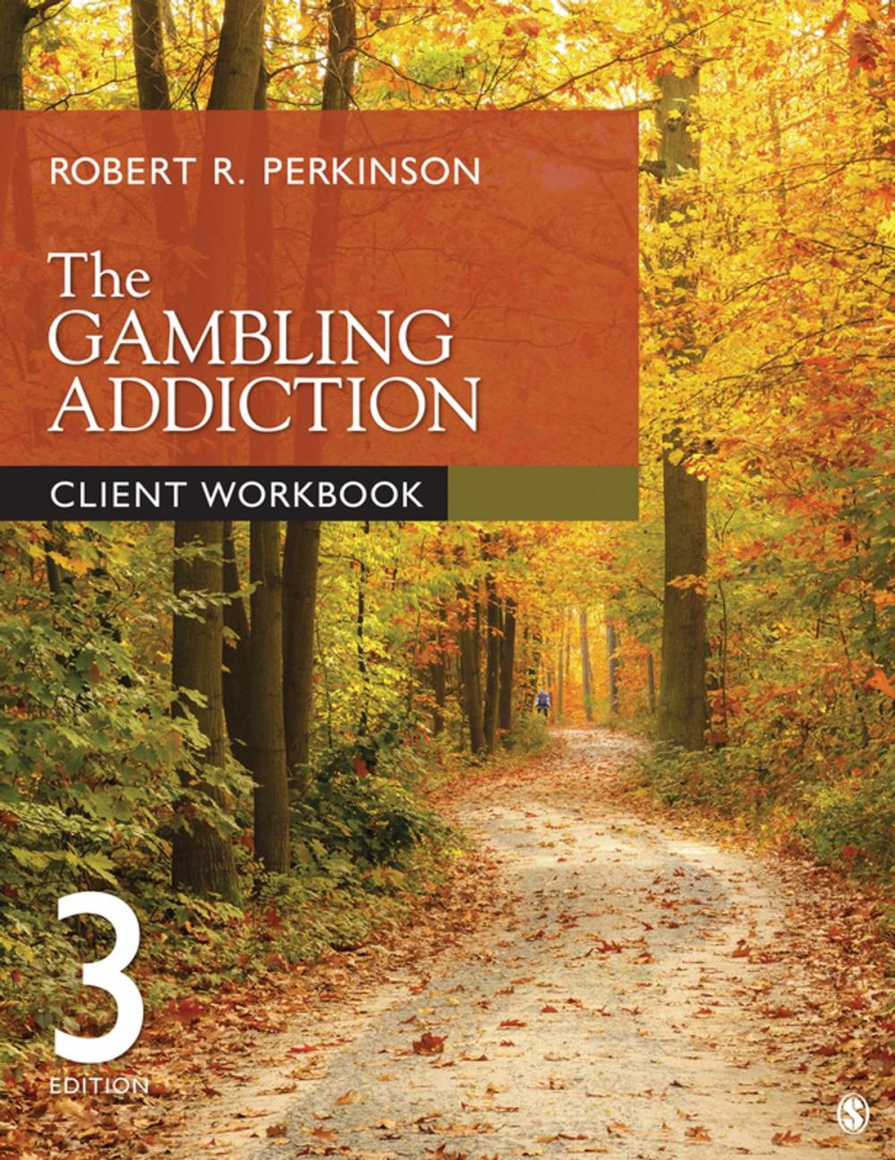 Big bigCover of The Gambling Addiction Client Workbook