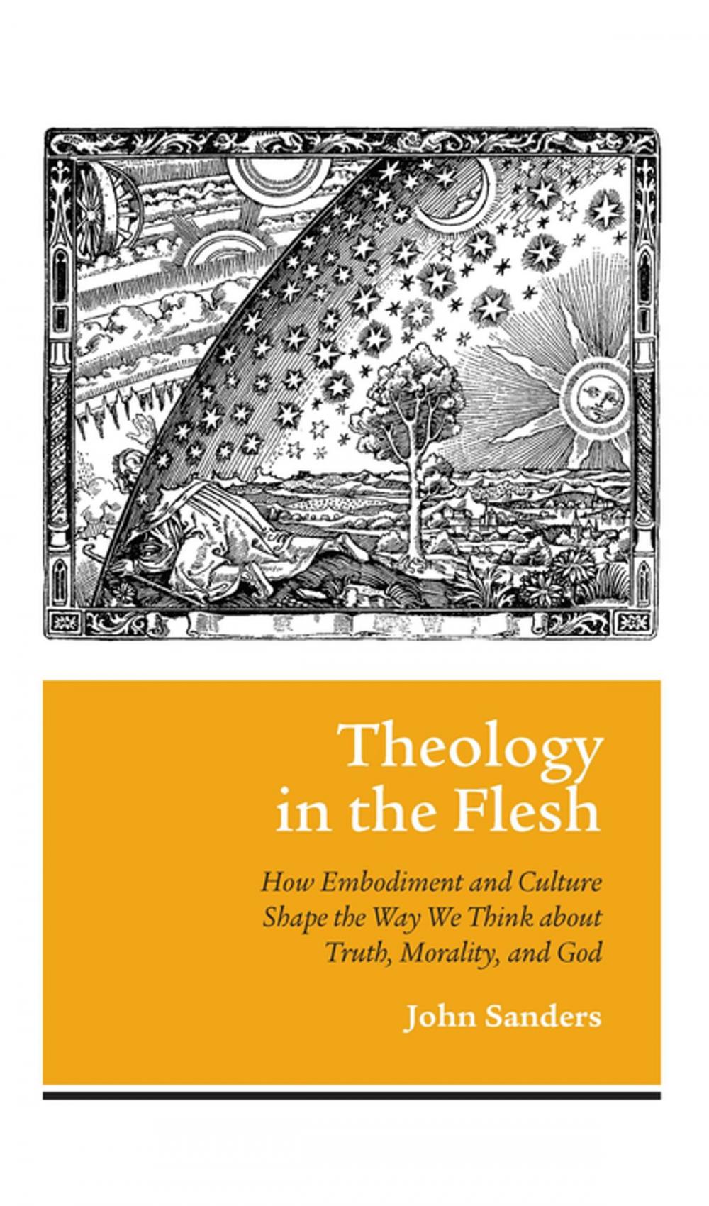 Big bigCover of Theology in the Flesh