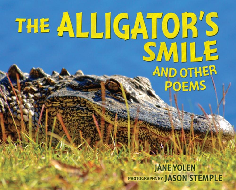 Big bigCover of The Alligator's Smile