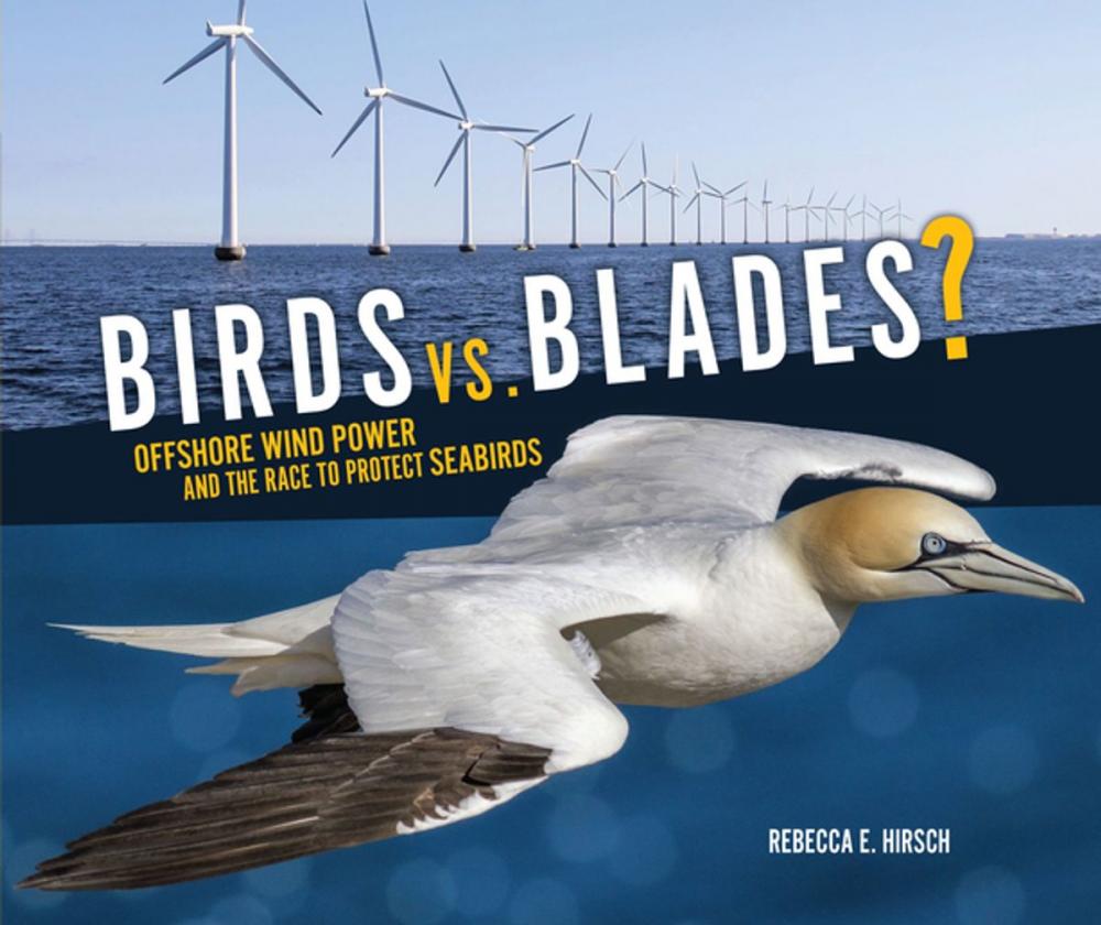 Big bigCover of Birds vs. Blades?