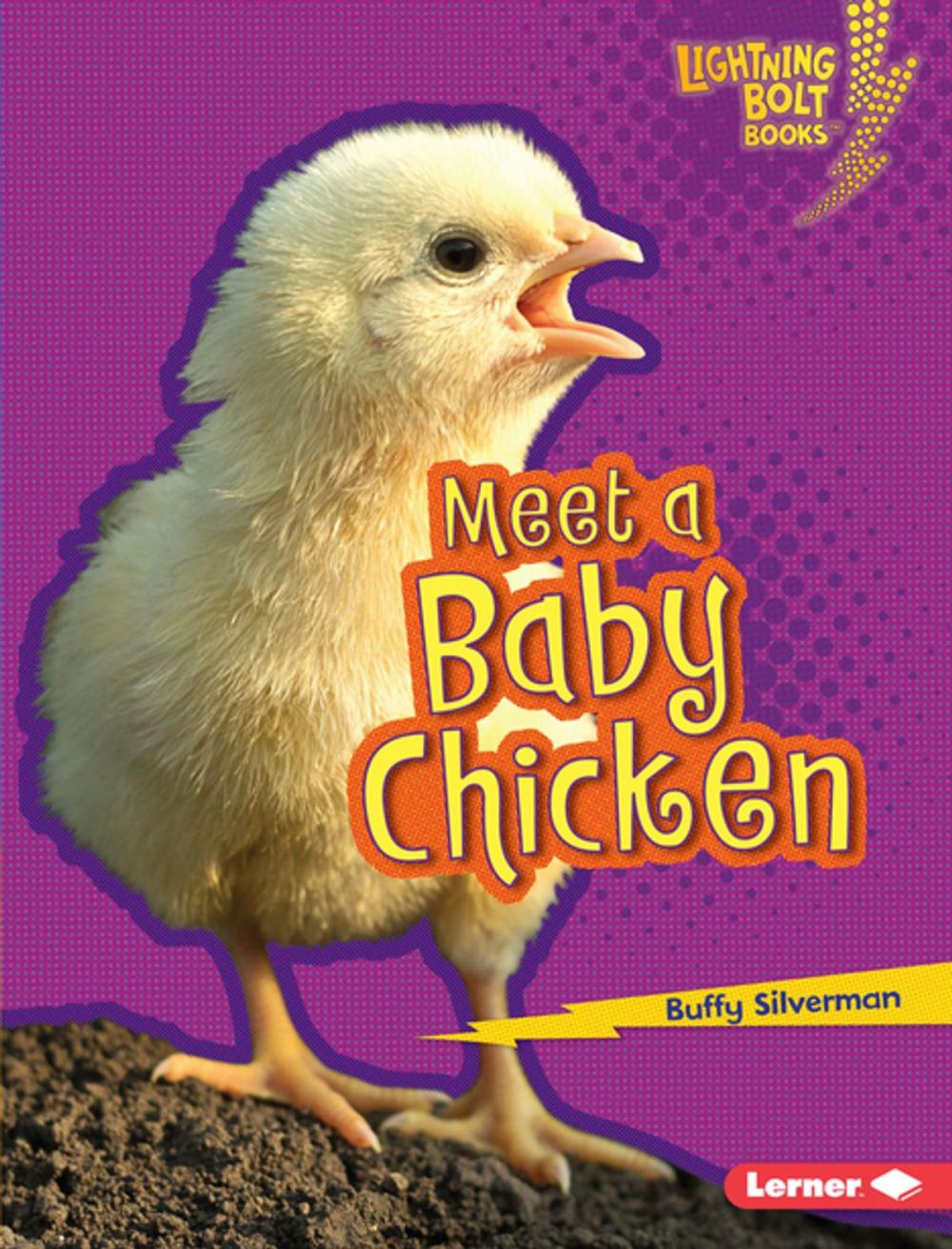 Big bigCover of Meet a Baby Chicken