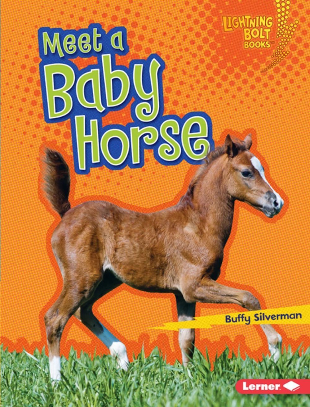 Big bigCover of Meet a Baby Horse