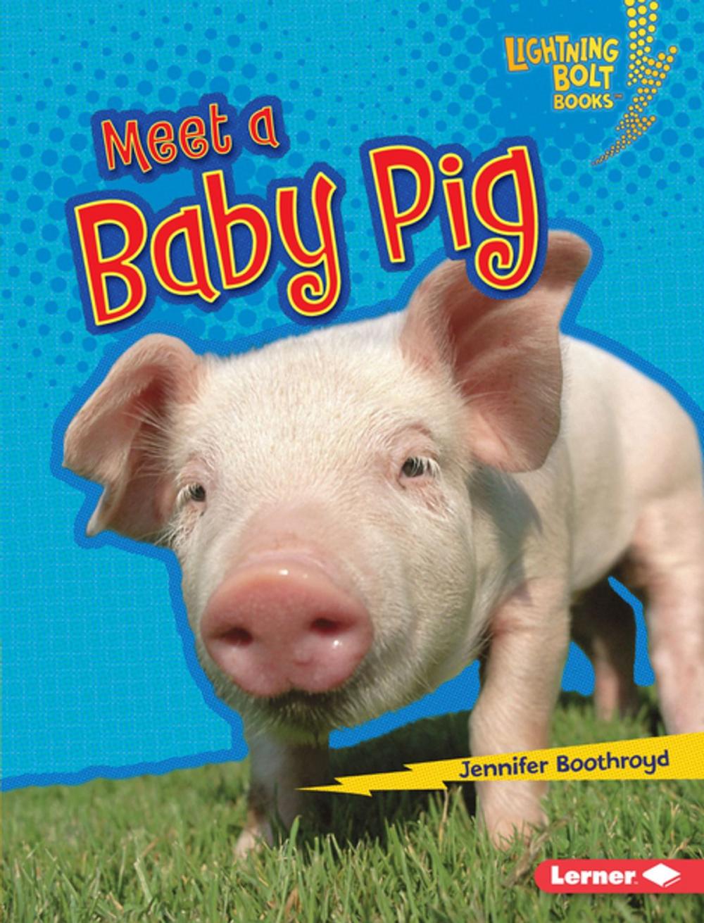 Big bigCover of Meet a Baby Pig