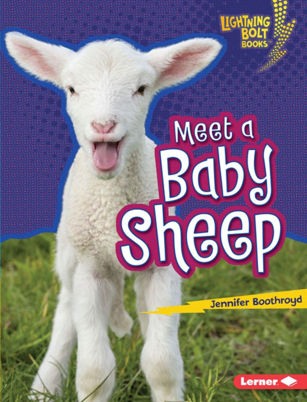 Big bigCover of Meet a Baby Sheep