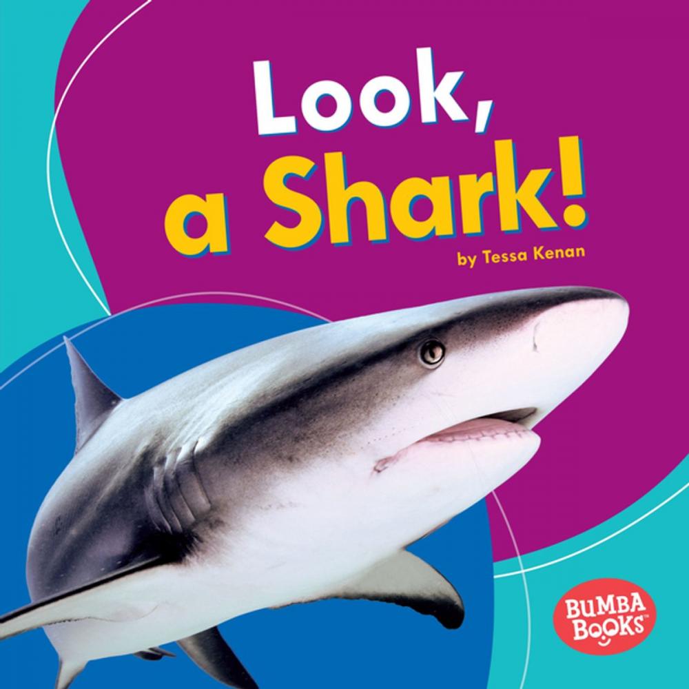 Big bigCover of Look, a Shark!