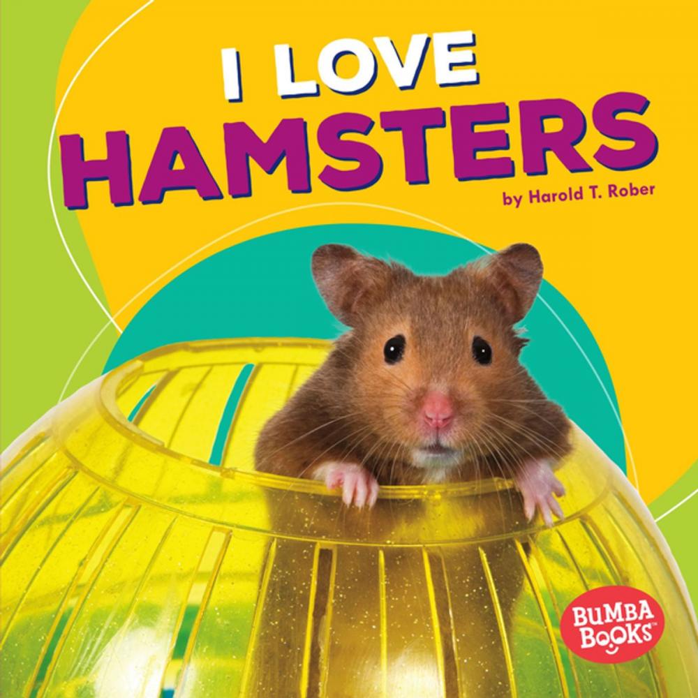 Big bigCover of I Love Hamsters