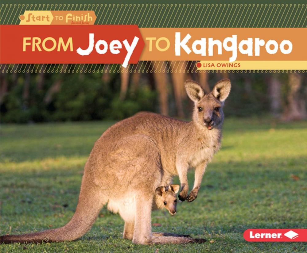 Big bigCover of From Joey to Kangaroo