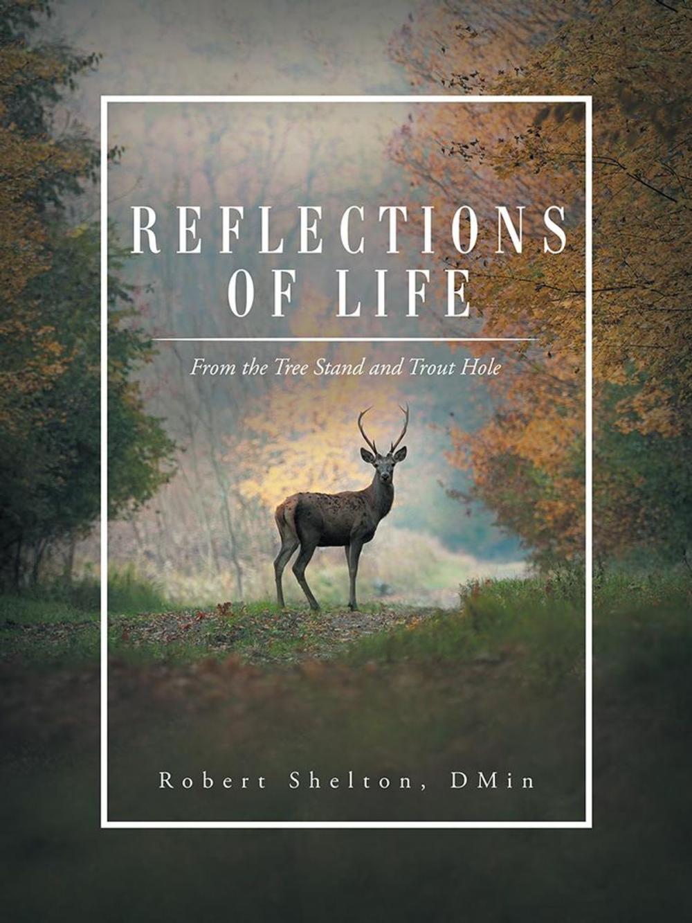 Big bigCover of Reflections of Life