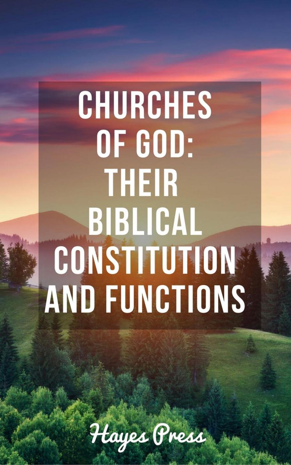 Big bigCover of Churches of God: Their Biblical Constitution and Functions