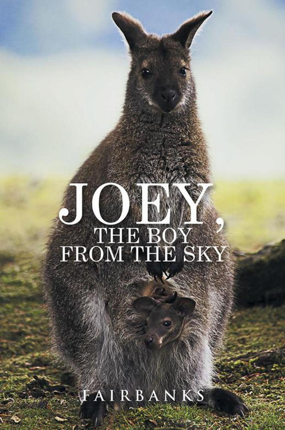 Big bigCover of Joey, the Boy from the Sky