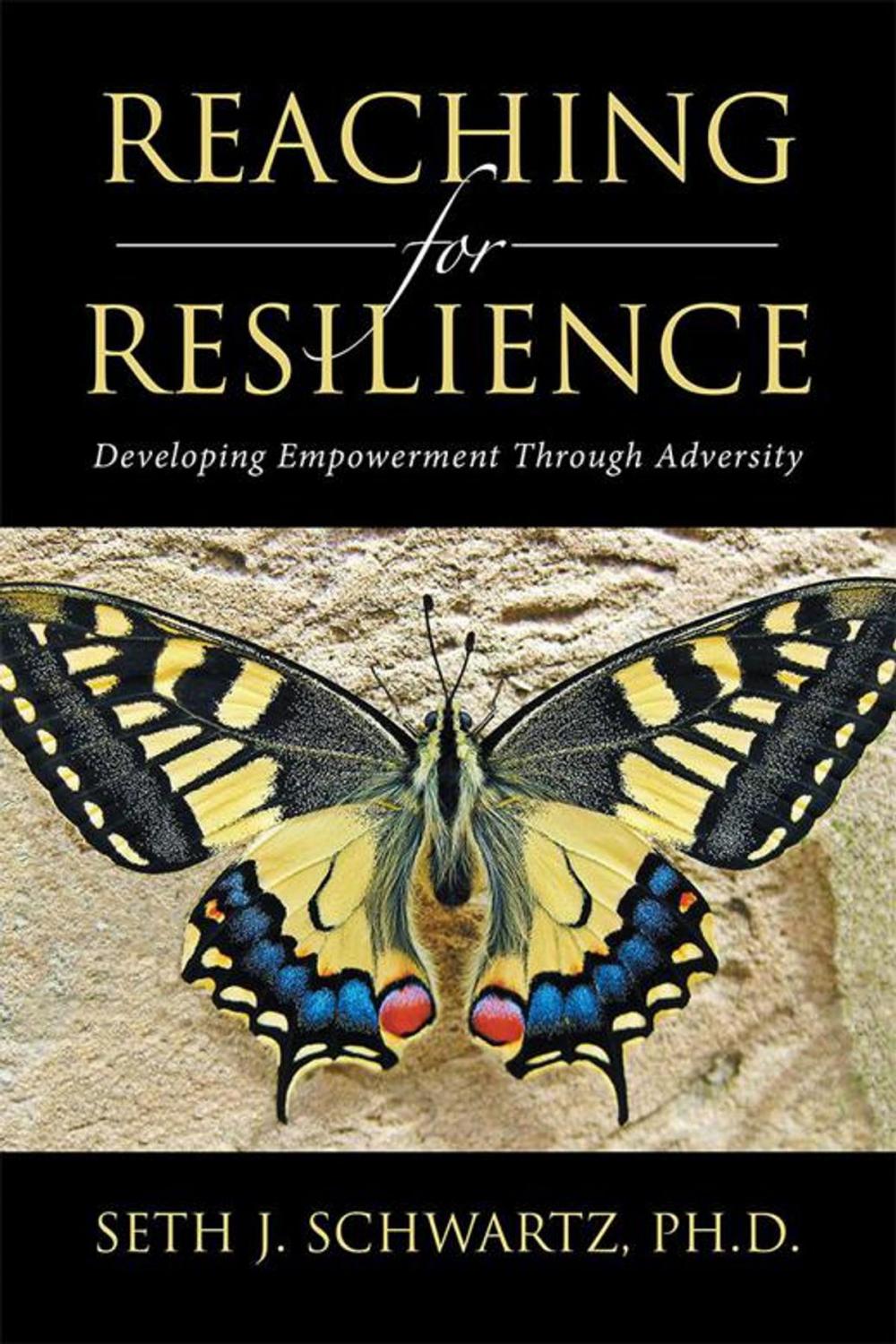 Big bigCover of Reaching for Resilience: