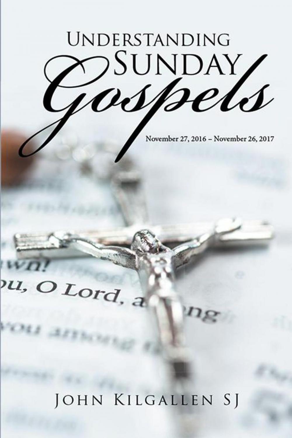 Big bigCover of Understanding Sunday Gospels