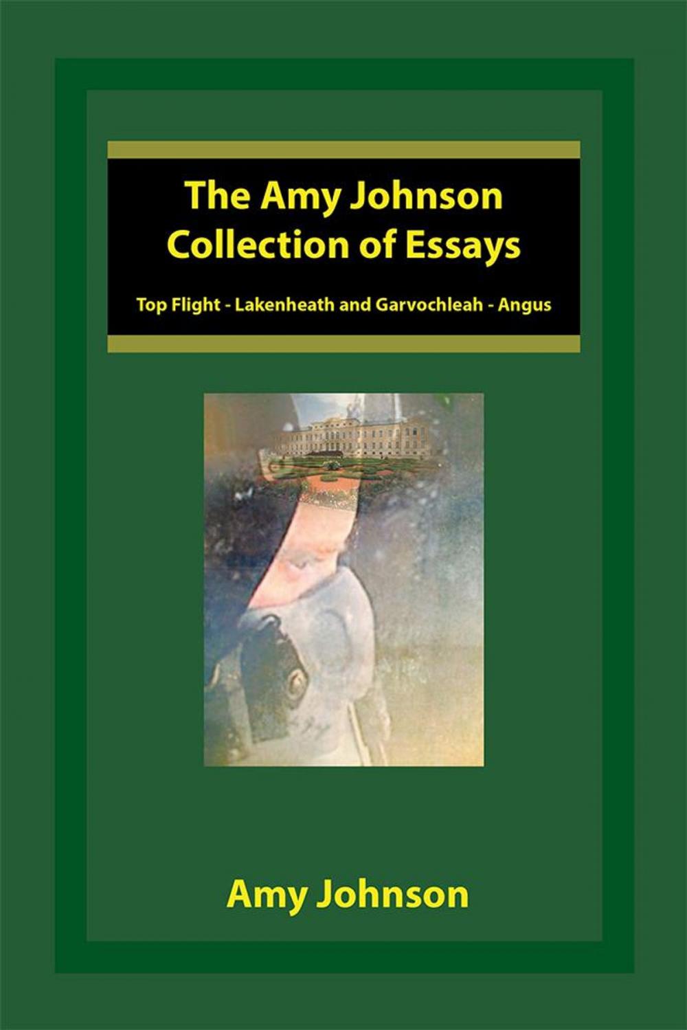 Big bigCover of The Amy Johnson Collection of Essays