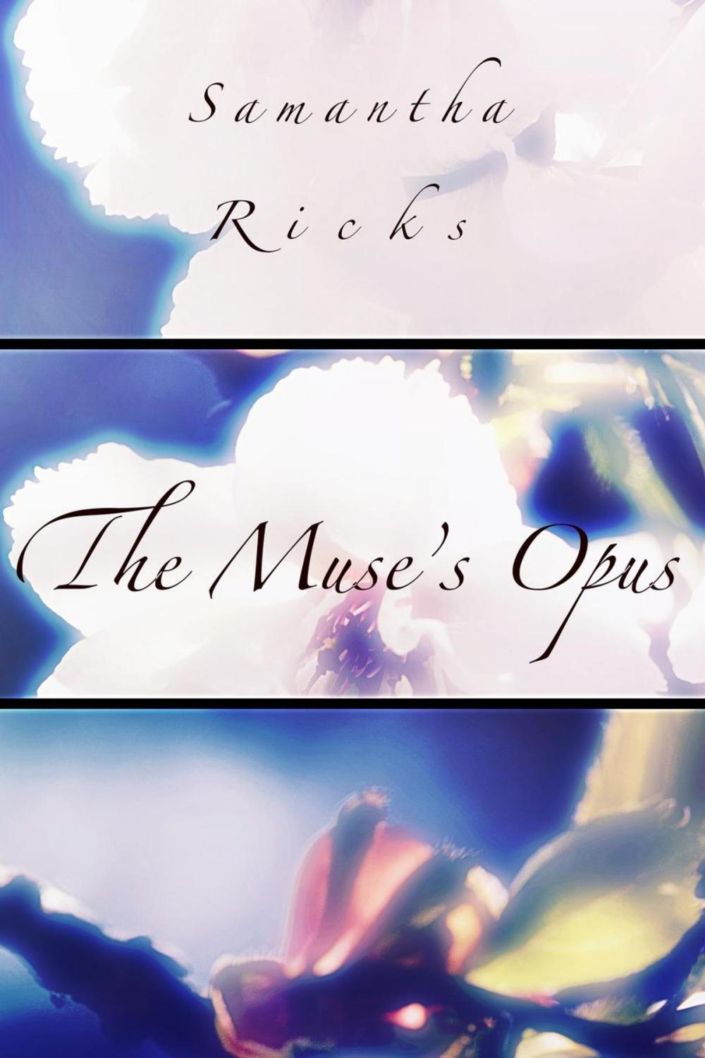 Big bigCover of The Muse’s Opus