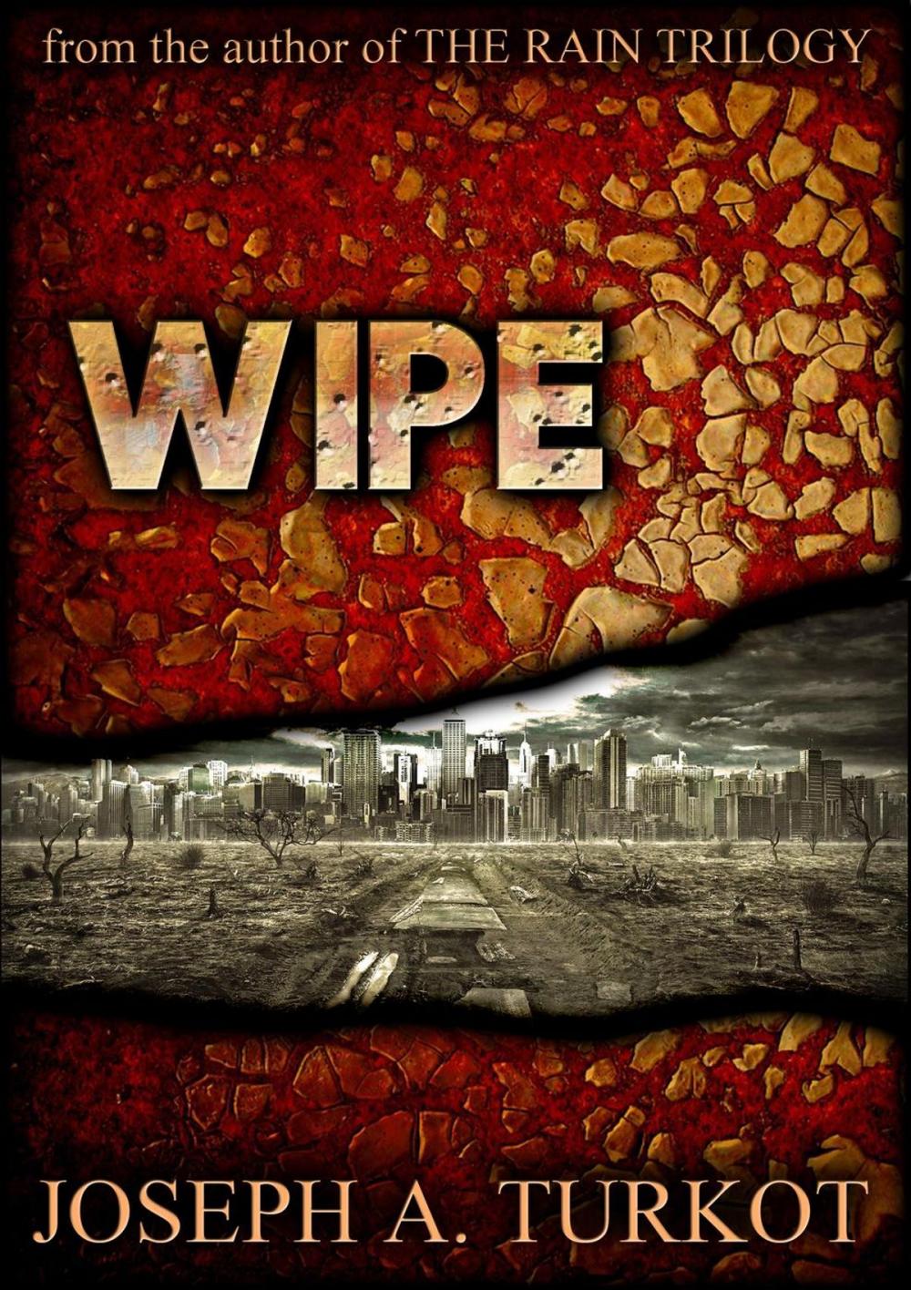 Big bigCover of Wipe