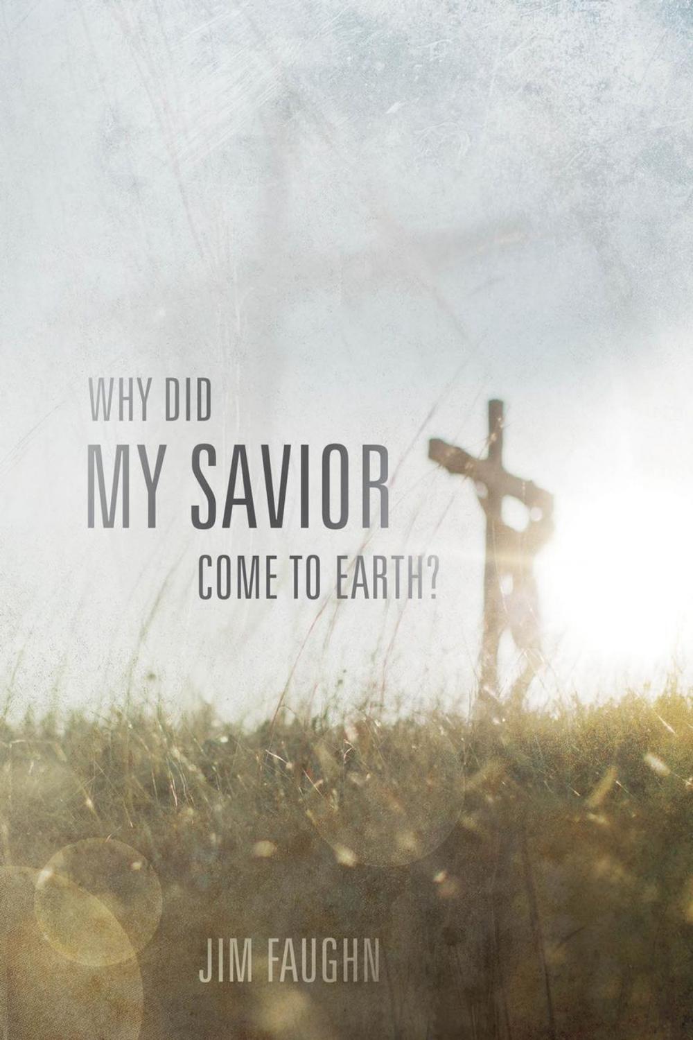 Big bigCover of Why Did My Savior Come to Earth?