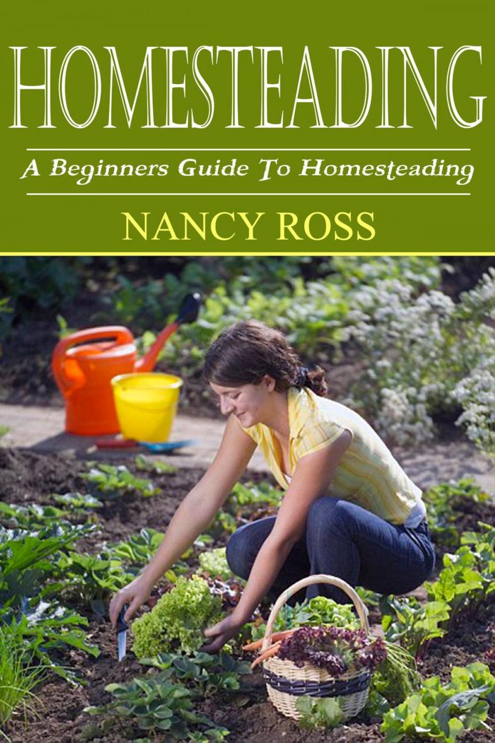 Big bigCover of Homesteading