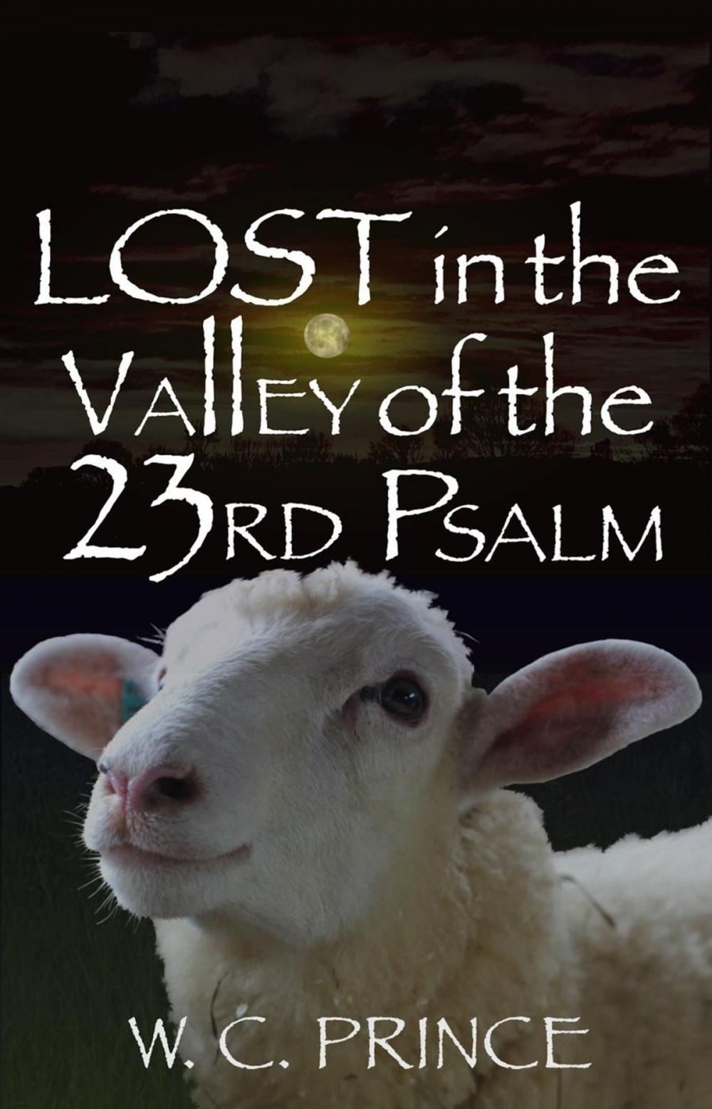 Big bigCover of LOST in the Valley of the 23rd Psalm