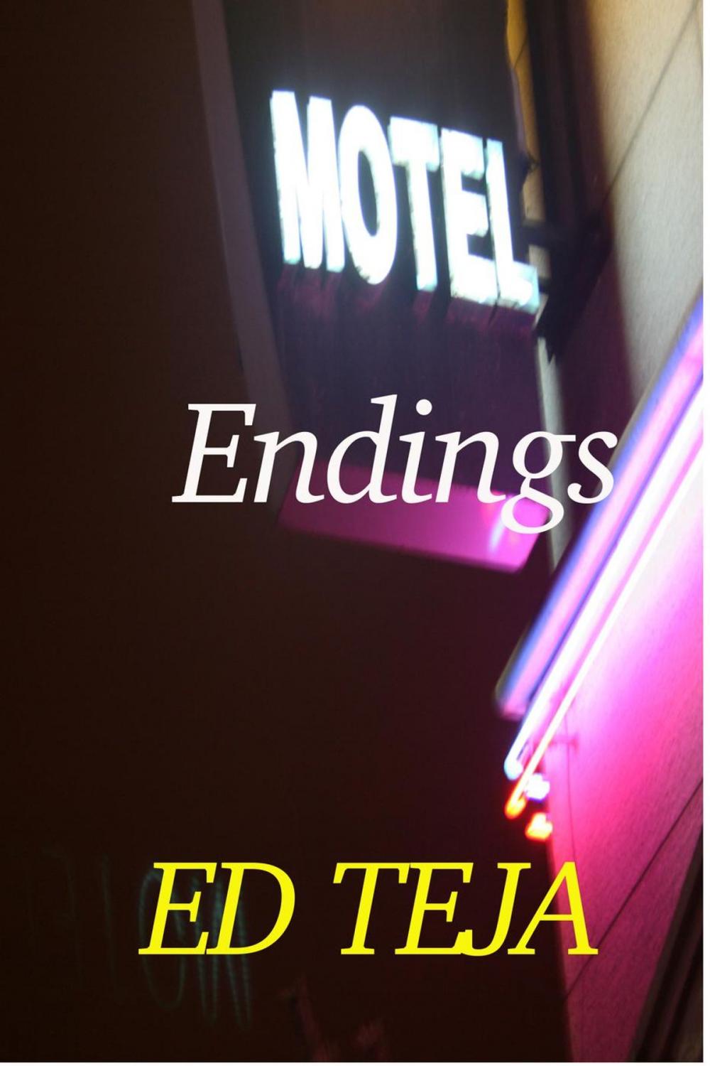 Big bigCover of Motel Endings