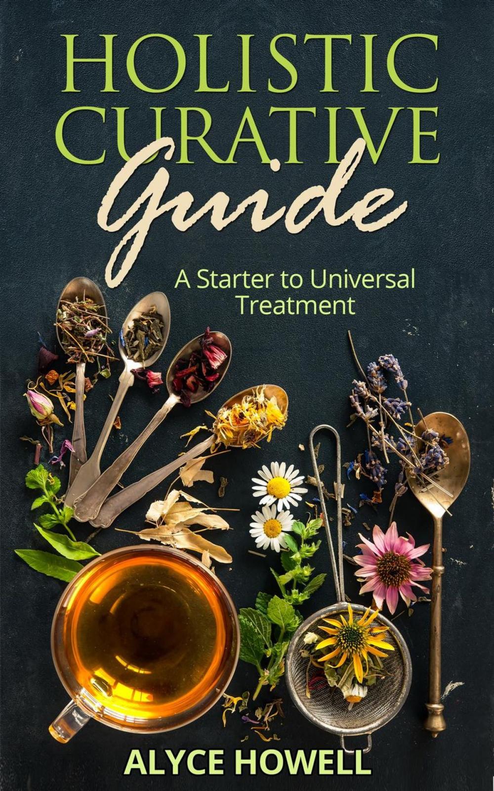 Big bigCover of Holister Curative Guide : A Starter to Universal Treatment