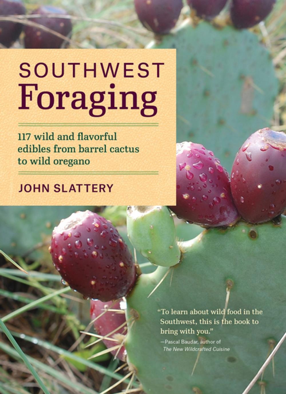 Big bigCover of Southwest Foraging