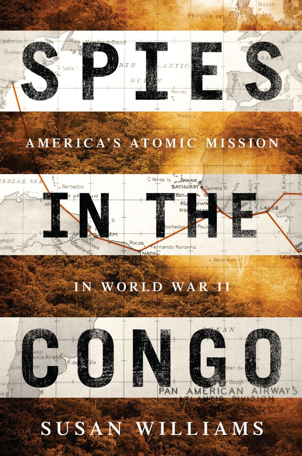 Big bigCover of Spies in the Congo