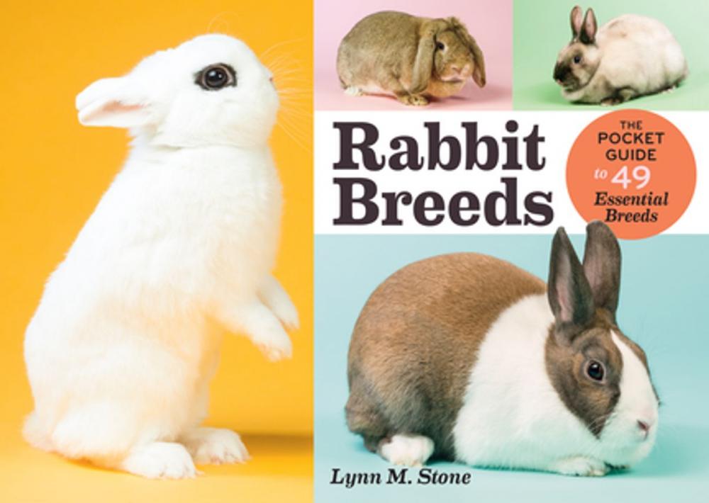 Big bigCover of Rabbit Breeds