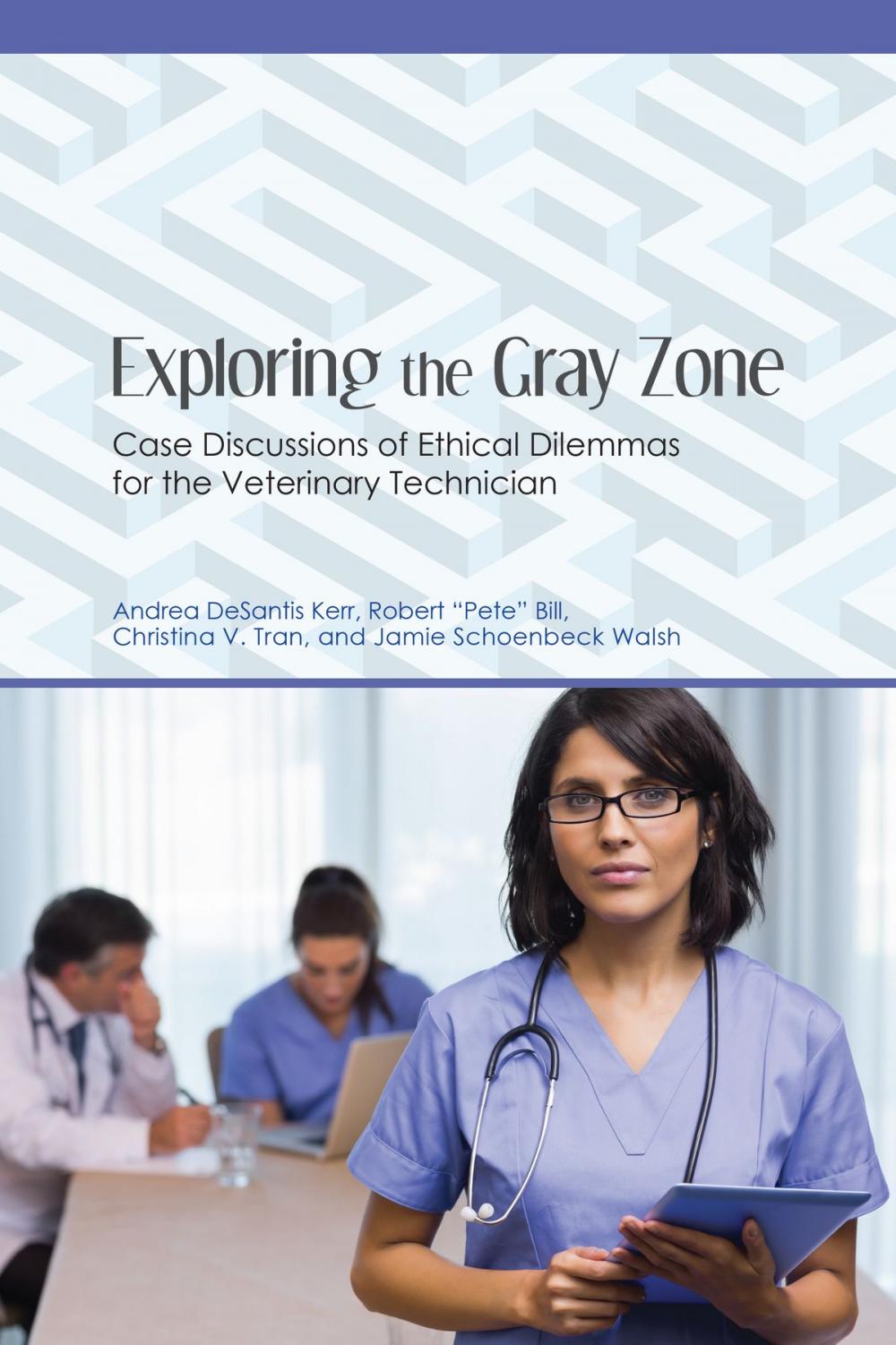 Big bigCover of Exploring the Gray Zone