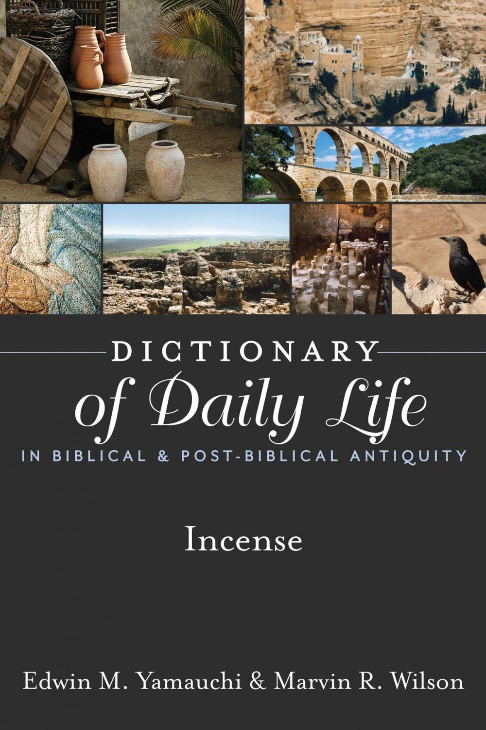 Big bigCover of Dictionary of Daily Life in Biblical & Post-Biblical Antiquity: Incense